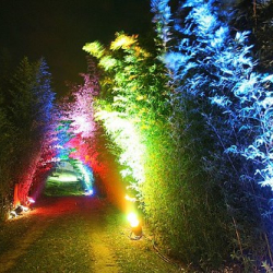 • <a style="font-size:0.8em;" href="http://www.flickr.com/photos/93182493@N07/16567649896/" target="_blank">View on Flickr</a>