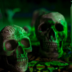 • <a style="font-size:0.8em;" href="http://www.flickr.com/photos/93182493@N07/16594677222/" target="_blank">View on Flickr</a>