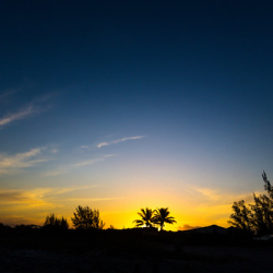 _MG_0586 _MG_0586 • <a style="font-size:0.8em;" href="http://www.flickr.com/photos/93182493@N07/21711390634/" target="_blank">View on Flickr</a>