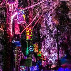 DSC_0126 (Copy) DSC_0126 (Copy) • <a style="font-size:0.8em;" href="http://www.flickr.com/photos/93182493@N07/21264404499/" target="_blank">View on Flickr</a>