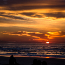 _MG_0769 _MG_0769 • <a style="font-size:0.8em;" href="http://www.flickr.com/photos/93182493@N07/21711167774/" target="_blank">View on Flickr</a>