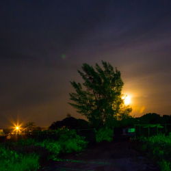 Aleka Fotografia Copyright © 2015 Aleka Fotografia Copyright © 2015 • <a style="font-size:0.8em;" href="http://www.flickr.com/photos/93182493@N07/21425171216/" target="_blank">View on Flickr</a>