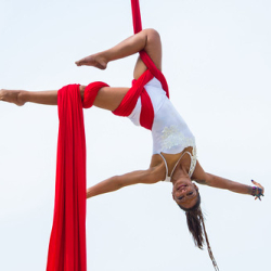 Aleka Fotografia Copyright © 2015 Aleka Fotografia Copyright © 2015 • <a style="font-size:0.8em;" href="http://www.flickr.com/photos/93182493@N07/21263534188/" target="_blank">View on Flickr</a>