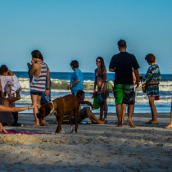 IMG_2265 IMG_2265 • <a style="font-size:0.8em;" href="http://www.flickr.com/photos/93182493@N07/22145593558/" target="_blank">View on Flickr</a>