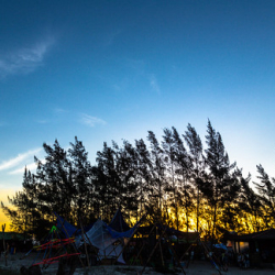 _MG_0584 _MG_0584 • <a style="font-size:0.8em;" href="http://www.flickr.com/photos/93182493@N07/22344777581/" target="_blank">View on Flickr</a>