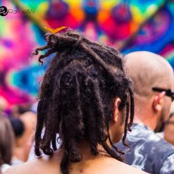 DSC04829 DSC04829 • <a style="font-size:0.8em;" href="http://www.flickr.com/photos/93182493@N07/22344301521/" target="_blank">View on Flickr</a>