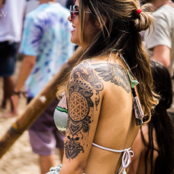 DSC04794 DSC04794 • <a style="font-size:0.8em;" href="http://www.flickr.com/photos/93182493@N07/22146842509/" target="_blank">View on Flickr</a>