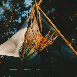 img_1868 img_1868 • <a style="font-size:0.8em;" href="http://www.flickr.com/photos/93182493@N07/21710639144/" target="_blank">View on Flickr</a>