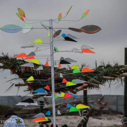 13417697_1187712997928464_7089080199972308117_n 13417697_1187712997928464_7089080199972308117_n • <a style="font-size:0.8em;" href="http://www.flickr.com/photos/93182493@N07/28643024868/" target="_blank">View on Flickr</a>