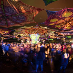 13445626_1190974537602310_5113330519992499186_n 13445626_1190974537602310_5113330519992499186_n • <a style="font-size:0.8em;" href="http://www.flickr.com/photos/93182493@N07/27645751847/" target="_blank">View on Flickr</a>