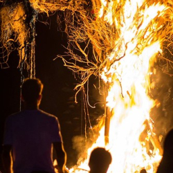 13422431_1191016794264751_1515060378120612717_o 13422431_1191016794264751_1515060378120612717_o • <a style="font-size:0.8em;" href="http://www.flickr.com/photos/93182493@N07/41613969405/" target="_blank">View on Flickr</a>