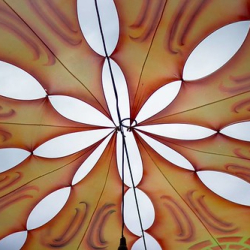 13417595_1191006470932450_5363536493850020527_n 13417595_1191006470932450_5363536493850020527_n • <a style="font-size:0.8em;" href="http://www.flickr.com/photos/93182493@N07/28643025478/" target="_blank">View on Flickr</a>