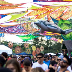 13466533_1191013117598452_803131557500786630_n 13466533_1191013117598452_803131557500786630_n • <a style="font-size:0.8em;" href="http://www.flickr.com/photos/93182493@N07/42464398962/" target="_blank">View on Flickr</a>