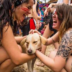 DSC04673 DSC04673 • <a style="font-size:0.8em;" href="http://www.flickr.com/photos/93182493@N07/22145998128/" target="_blank">View on Flickr</a>