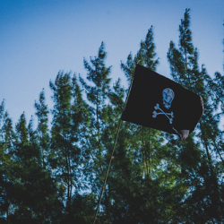 DSC_0052 DSC_0052 • <a style="font-size:0.8em;" href="http://www.flickr.com/photos/93182493@N07/21451306585/" target="_blank">View on Flickr</a>