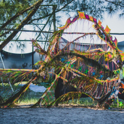 DSC_0042 DSC_0042 • <a style="font-size:0.8em;" href="http://www.flickr.com/photos/93182493@N07/20828615314/" target="_blank">View on Flickr</a>