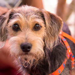 Aleka Fotografia Copyright © 2015 Aleka Fotografia Copyright © 2015 • <a style="font-size:0.8em;" href="http://www.flickr.com/photos/93182493@N07/20828842954/" target="_blank">View on Flickr</a>