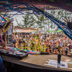 DSC04505 DSC04505 • <a style="font-size:0.8em;" href="http://www.flickr.com/photos/93182493@N07/22344407871/" target="_blank">View on Flickr</a>