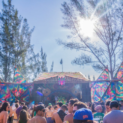 DSC04996 DSC04996 • <a style="font-size:0.8em;" href="http://www.flickr.com/photos/93182493@N07/22145612420/" target="_blank">View on Flickr</a>