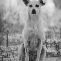 DSC_0031 DSC_0031 • <a style="font-size:0.8em;" href="http://www.flickr.com/photos/93182493@N07/21451314525/" target="_blank">View on Flickr</a>