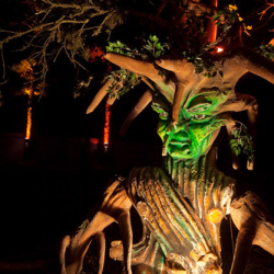 • <a style="font-size:0.8em;" href="http://www.flickr.com/photos/93182493@N07/16289344273/" target="_blank">View on Flickr</a>