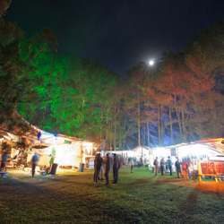 • <a style="font-size:0.8em;" href="http://www.flickr.com/photos/93182493@N07/16721932550/" target="_blank">View on Flickr</a>