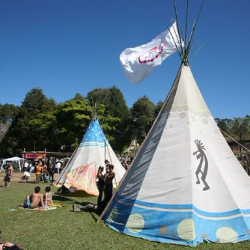 • <a style="font-size:0.8em;" href="http://www.flickr.com/photos/93182493@N07/16568758436/" target="_blank">View on Flickr</a>