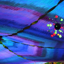 • <a style="font-size:0.8em;" href="http://www.flickr.com/photos/93182493@N07/16408689799/" target="_blank">View on Flickr</a>