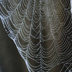 respect09 respect09 • <a style="font-size:0.8em;" href="http://www.flickr.com/photos/93182493@N07/16530805325/" target="_blank">View on Flickr</a>