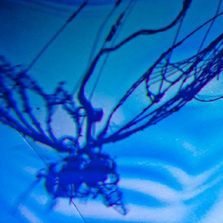 • <a style="font-size:0.8em;" href="http://www.flickr.com/photos/93182493@N07/16569111006/" target="_blank">View on Flickr</a>