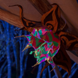 • <a style="font-size:0.8em;" href="http://www.flickr.com/photos/93182493@N07/15973455814/" target="_blank">View on Flickr</a>