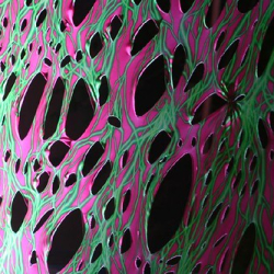 • <a style="font-size:0.8em;" href="http://www.flickr.com/photos/93182493@N07/16568844746/" target="_blank">View on Flickr</a>