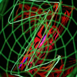 • <a style="font-size:0.8em;" href="http://www.flickr.com/photos/93182493@N07/16568845426/" target="_blank">View on Flickr</a>