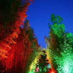 • <a style="font-size:0.8em;" href="http://www.flickr.com/photos/93182493@N07/16592329251/" target="_blank">View on Flickr</a>