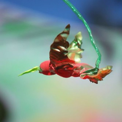 • <a style="font-size:0.8em;" href="http://www.flickr.com/photos/93182493@N07/16408906429/" target="_blank">View on Flickr</a>