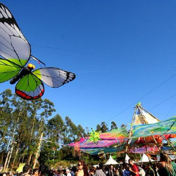 • <a style="font-size:0.8em;" href="http://www.flickr.com/photos/93182493@N07/16594762155/" target="_blank">View on Flickr</a>