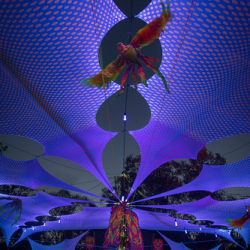 • <a style="font-size:0.8em;" href="http://www.flickr.com/photos/93182493@N07/16594292421/" target="_blank">View on Flickr</a>