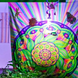 • <a style="font-size:0.8em;" href="http://www.flickr.com/photos/93182493@N07/16593912731/" target="_blank">View on Flickr</a>