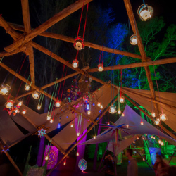 • <a style="font-size:0.8em;" href="http://www.flickr.com/photos/93182493@N07/16408589120/" target="_blank">View on Flickr</a>