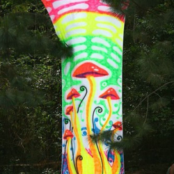 • <a style="font-size:0.8em;" href="http://www.flickr.com/photos/93182493@N07/16406504450/" target="_blank">View on Flickr</a>