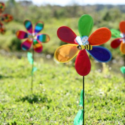 • <a style="font-size:0.8em;" href="http://www.flickr.com/photos/93182493@N07/16594748355/" target="_blank">View on Flickr</a>