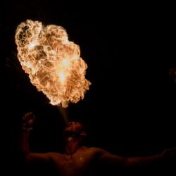 • <a style="font-size:0.8em;" href="http://www.flickr.com/photos/93182493@N07/16409726859/" target="_blank">View on Flickr</a>