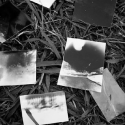 • <a style="font-size:0.8em;" href="http://www.flickr.com/photos/93182493@N07/15975310353/" target="_blank">View on Flickr</a>