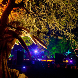 • <a style="font-size:0.8em;" href="http://www.flickr.com/photos/93182493@N07/16721937000/" target="_blank">View on Flickr</a>