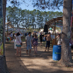 • <a style="font-size:0.8em;" href="http://www.flickr.com/photos/93182493@N07/16287049834/" target="_blank">View on Flickr</a>