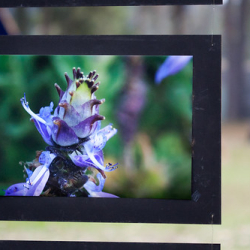 • <a style="font-size:0.8em;" href="http://www.flickr.com/photos/93182493@N07/16723158059/" target="_blank">View on Flickr</a>