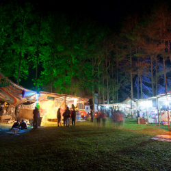 • <a style="font-size:0.8em;" href="http://www.flickr.com/photos/93182493@N07/16721968050/" target="_blank">View on Flickr</a>