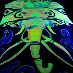 • <a style="font-size:0.8em;" href="http://www.flickr.com/photos/93182493@N07/16593580121/" target="_blank">View on Flickr</a>