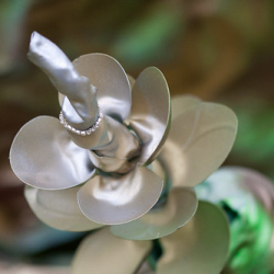 • <a style="font-size:0.8em;" href="http://www.flickr.com/photos/93182493@N07/16908329551/" target="_blank">View on Flickr</a>