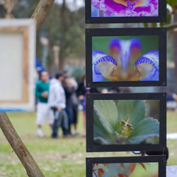 • <a style="font-size:0.8em;" href="http://www.flickr.com/photos/93182493@N07/16883436366/" target="_blank">View on Flickr</a>